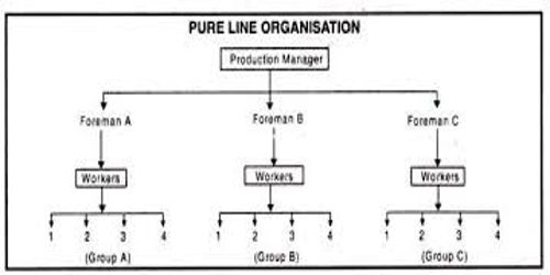 Pure Organizational System of Project Organization