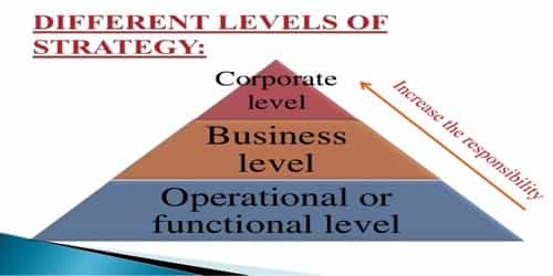 Functional strategy is dictated by parent’s business strategy – Explanation