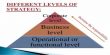 Differentiate between Business and Functional level strategy