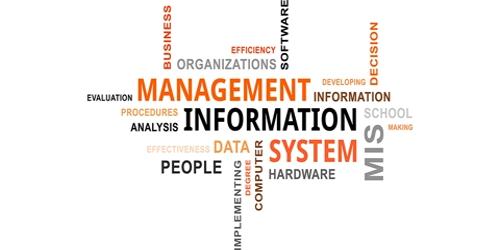 Management Information System In An Organization