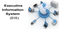 Executive Information System (EIS)