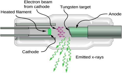 X-ray 1