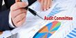 Benefits of an Audit Committee
