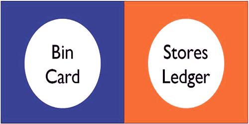 Differences between Bin Card and Store Ledger