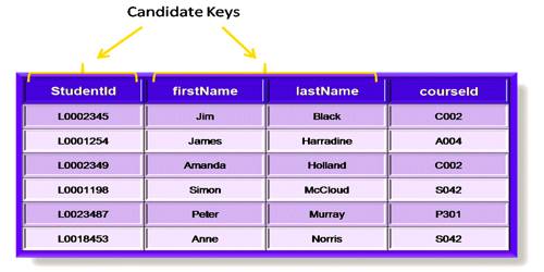 Candidate Key