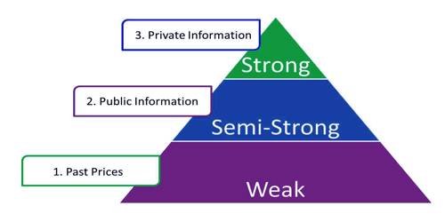 strong form of efficient market hypothesis