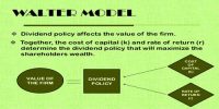 Assumptions of Walter’s theory of Dividend Policy