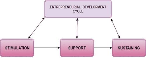 Entrepreneurial Development Cycle 1