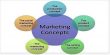 Different Philosophies of Marketing Management