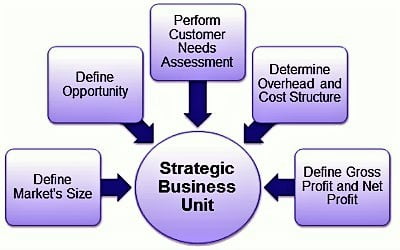 Strategic Business Units 1