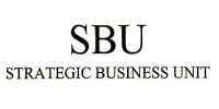 Creation of Strategic Business Units (SBU)