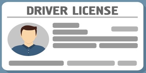 Application for Driving License Renewal