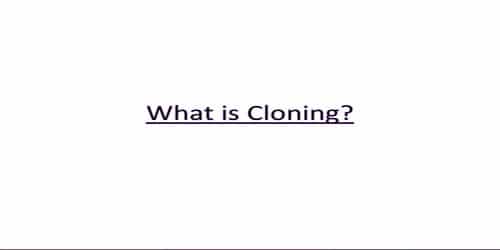 What is Cloning?