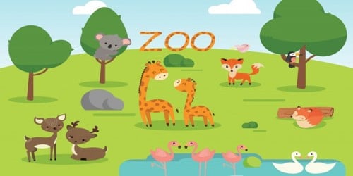 A Zoo - QS Study