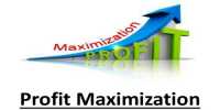 Profit maximization goal of financial management