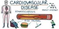 What is cardiovascular disease?