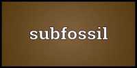 Subfossil