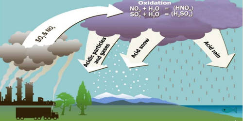 Acid Rain - QS Study