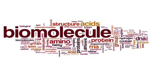 Biomolecule