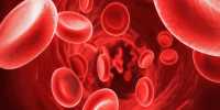 What Are Platelets?