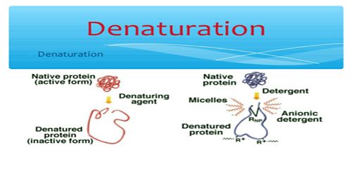 Denaturation