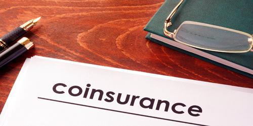What is Co-Insurance?