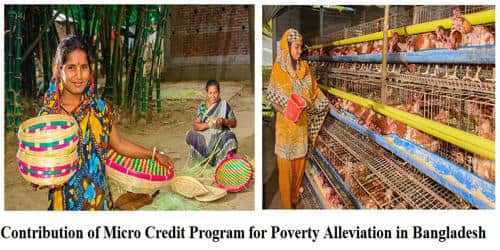 Contribution of Micro Credit Program for Poverty Alleviation