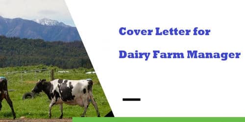 Cover Letter for Dairy Farm Manager