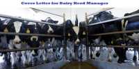 Cover Letter for Dairy Herd Manager