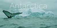 The greater humanitarian impact of Antarctica is more thought-provoking than ever