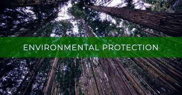 Environmental Protection Economic Analysis