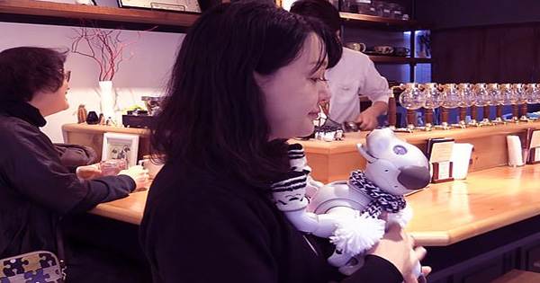 For robot dogs a café in Tokyo is hosting weekly play dates and birthday parties