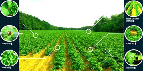 Satellite Crop Monitoring System for Efficient Farming 1
