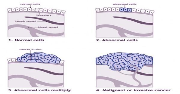 The growth of cells outside the body of an animal