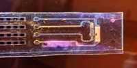 Bioelectronics device achieves control of cell membrane voltage