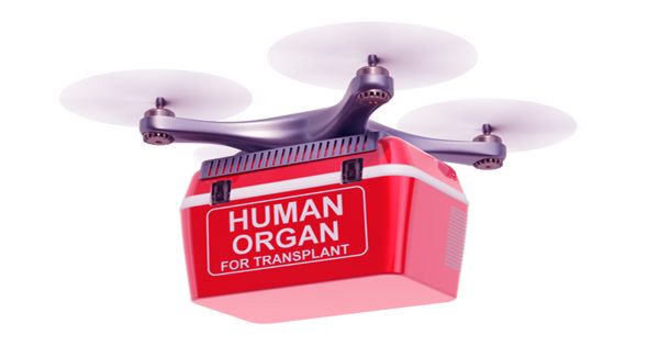 A donor organ was for the first time provided by a drone
