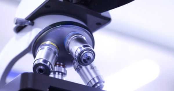 New Innovation Advances Optical Light Microscopy