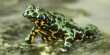 Research step forward in Fight against deadly Chytrid Fungus