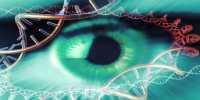 Promising Gene therapy Restoring Vision