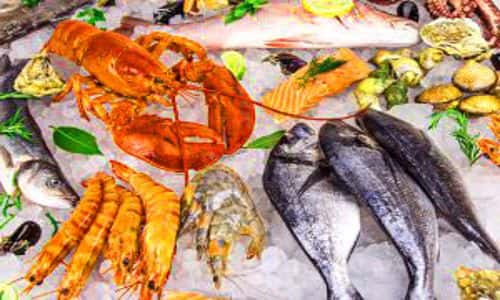 Scientific resolution to Seafood Spoilage Detection 1