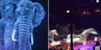 The German circus is using holographic animals instead of real ones