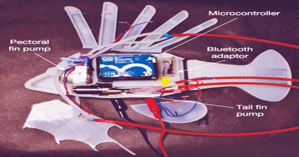 Using Synthetic Blood This Robot Fish Can Swim For Hours Qs Study - how does robot swim look like in roblox youtube