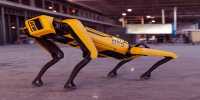 Watch a Pack of Spot Mini Robot Dogs Effortlessly Tows a Truck