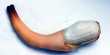 What is Geoduck? The giant old clam of the ocean