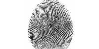 Human fingerprints have a self-regulating moisture mechanism