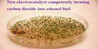 New electrocatalyst competently turning carbon dioxide into ethanol fuel