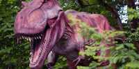Prehistoric “Hobbit” Beast Shows Mammals’ Rapid Evolution after Dinosaurs’ Demise