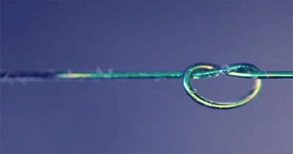 The Color-changing fibers reveal why some knots hold and why others don’t