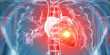 Harvard researchers explain – Cells can be revived after Heart Attacks