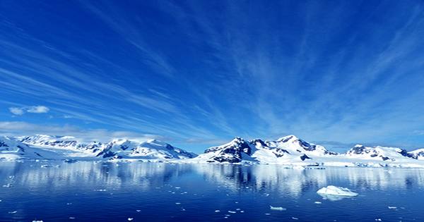 Ancient Soil Suggests Antarctica May Have Been a Rainforest 90 Million Years Ago